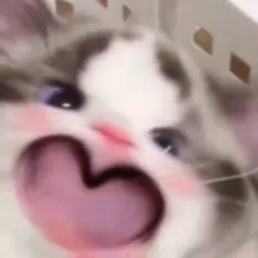 Looo
