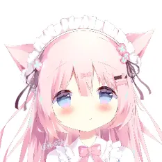 黄焖鸡大米饭雷明