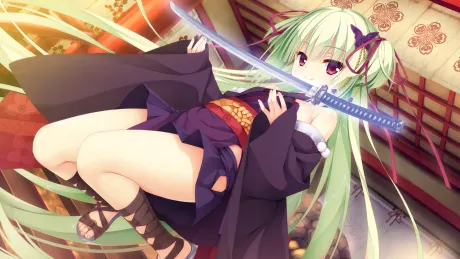 Series Banner 1