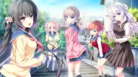 Series Banner 1