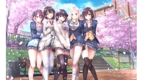 Series Banner 3