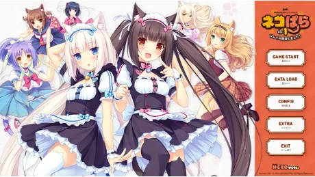 Series Banner 2