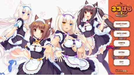 Series Banner 3