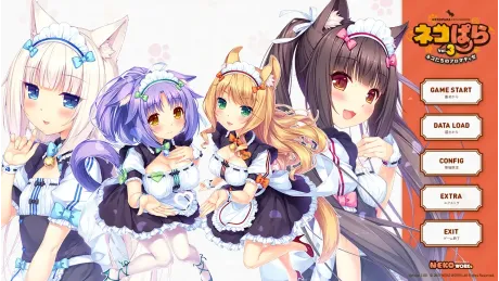 Series Banner 4